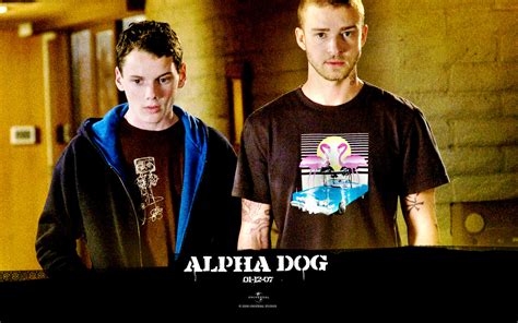 Alpha dogs. Things To Know About Alpha dogs. 